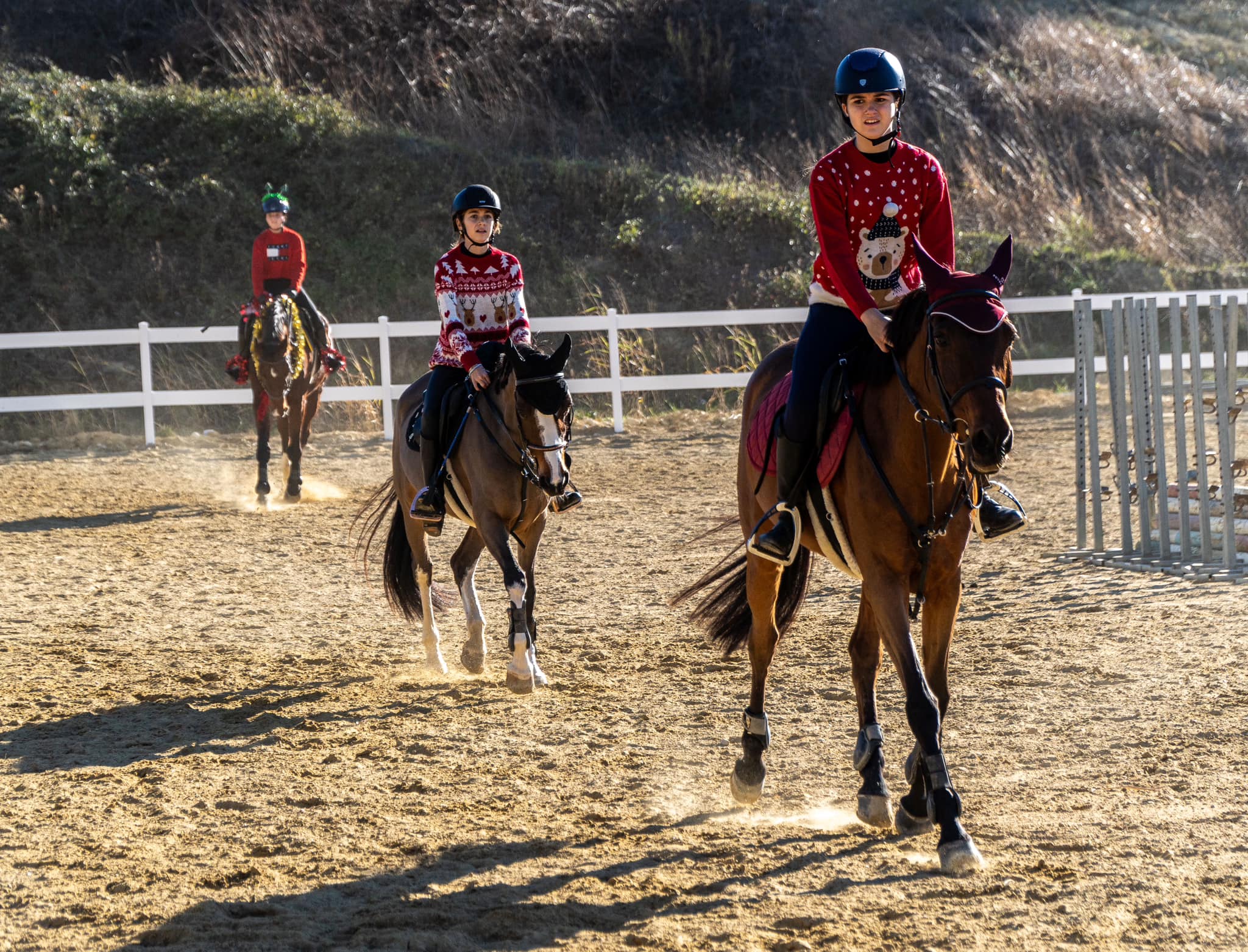 Corso di equitazione per principianti a Chieti